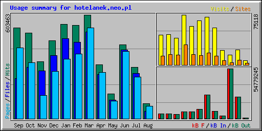 Usage summary for hotelanek.neo.pl